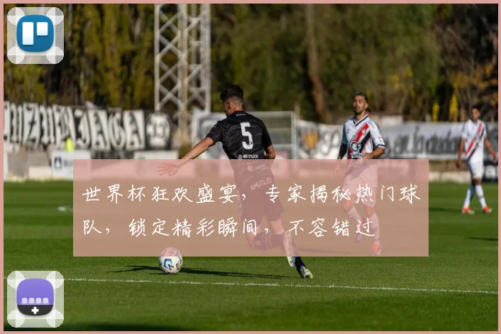 世界杯狂欢盛宴，专家揭秘热门球队，锁定精彩瞬间，不容错过