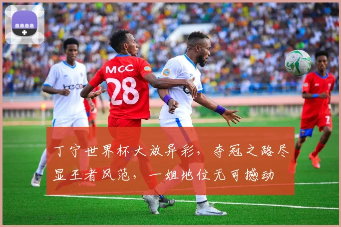 丁宁世界杯大放异彩，夺冠之路尽显王者风范，一姐地位无可撼动