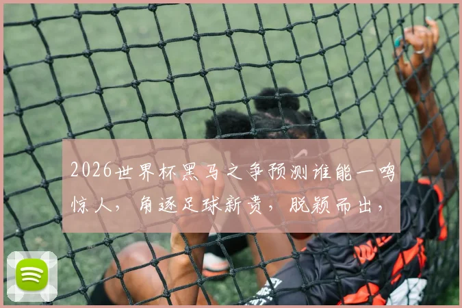 2026世界杯黑马之争预测谁能一鸣惊人，角逐足球新贵，脱颖而出，谁主沉浮