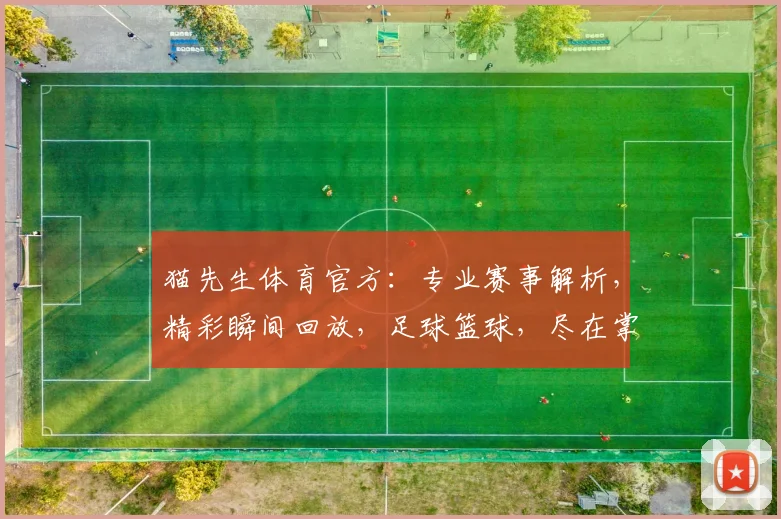 猫先生体育官方：专业赛事解析，精彩瞬间回放，足球篮球，尽在掌握，不容错过
