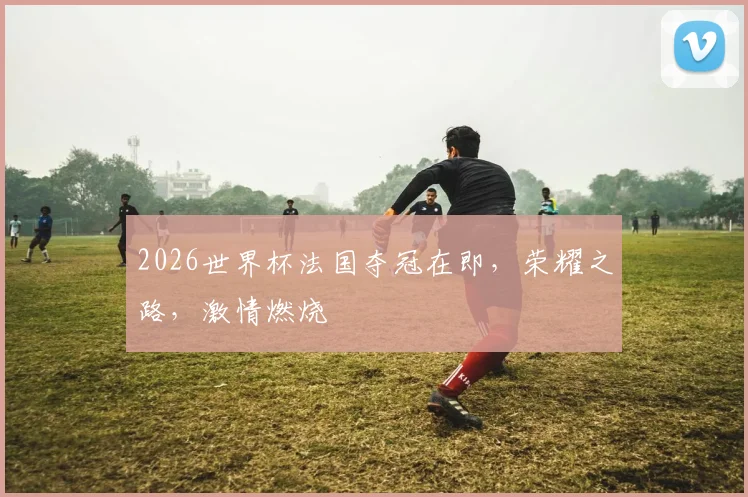 2026世界杯法国夺冠在即，荣耀之路，激情燃烧