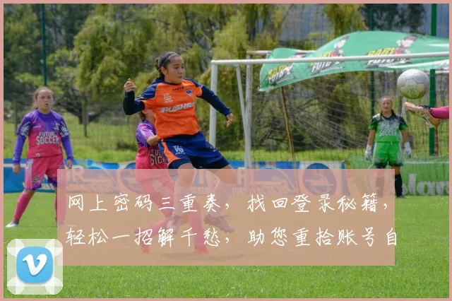 网上密码三重奏，找回登录秘籍，轻松一招解千愁，助您重拾账号自由行，三步搞定